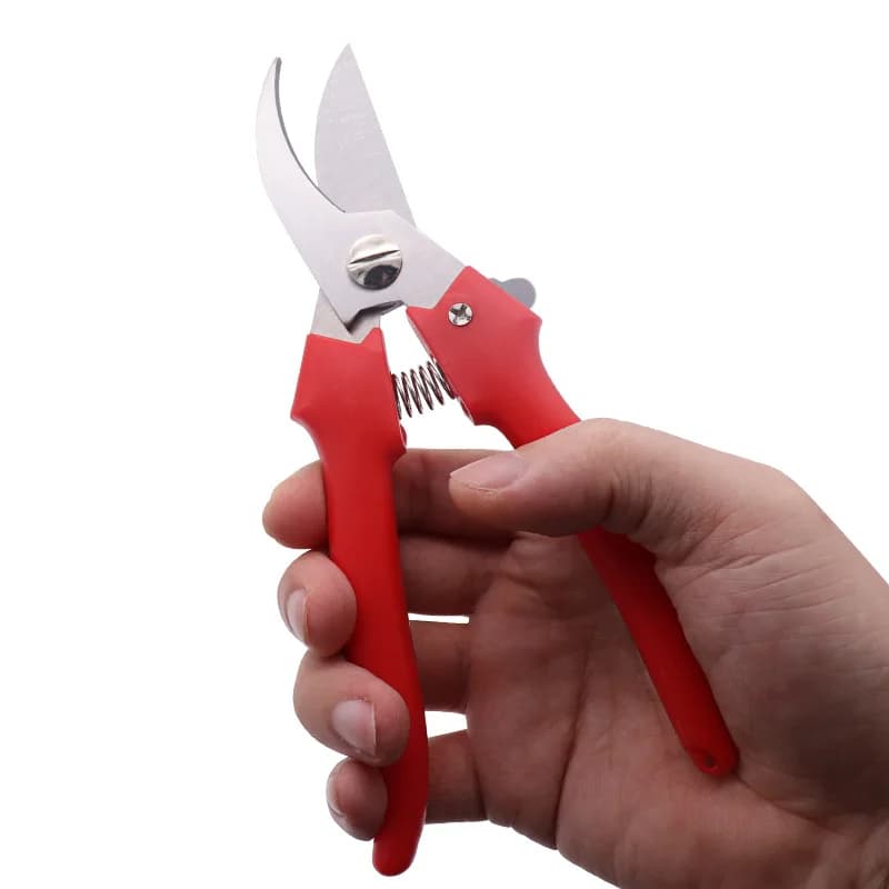 Garden pruning shears with stainless steel beak Fruit shears Shears for gardening branches for fruit trees