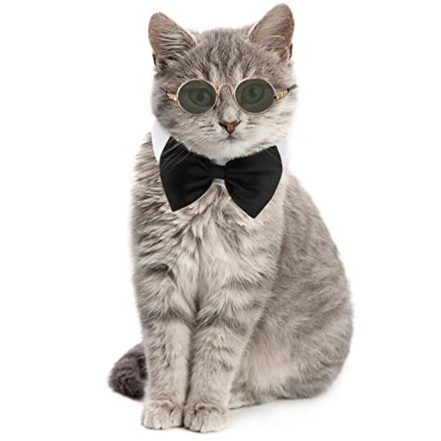 Pets costume bowtie tie with adjustable collar and round metal retro sunglasses for cats small dogs puppy grooming cosplay part