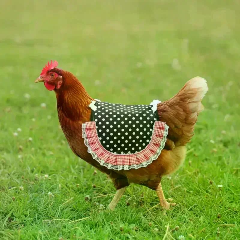 Gilet/Coprispalle Regolabile in Tessuto Morbido per Polli e Uccelli, Imbracatura per Galline