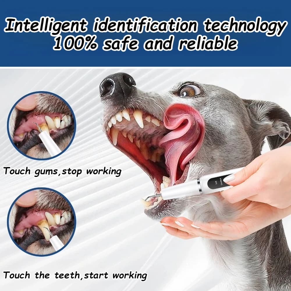 Spazzolino da denti per cani IPX6 Impermeabile per toelettatura di cani Detergente dentale ad ultrasuoni per animali domestici Riduce il tartaro e il calcolo Animali domestici Accessori per cani