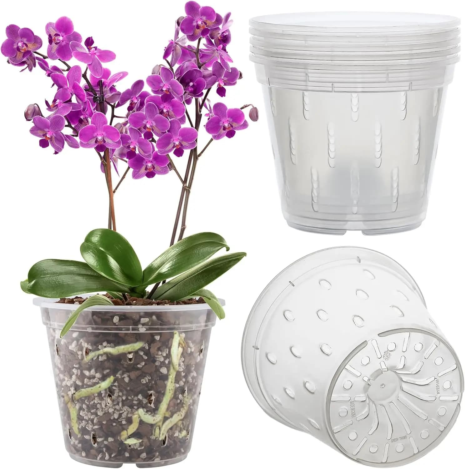 Set of 6 Transparent Plastic Vases for Orchids with Holes, 5.5 Inner and Exterior Plants