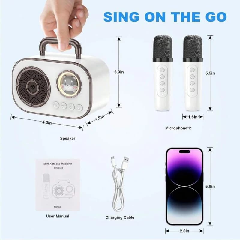 Per giovani adulti e adolescenti, mini macchina per karaoke portatile senza fili con 2 microfoni, altoparlante BT con cambio vocale
