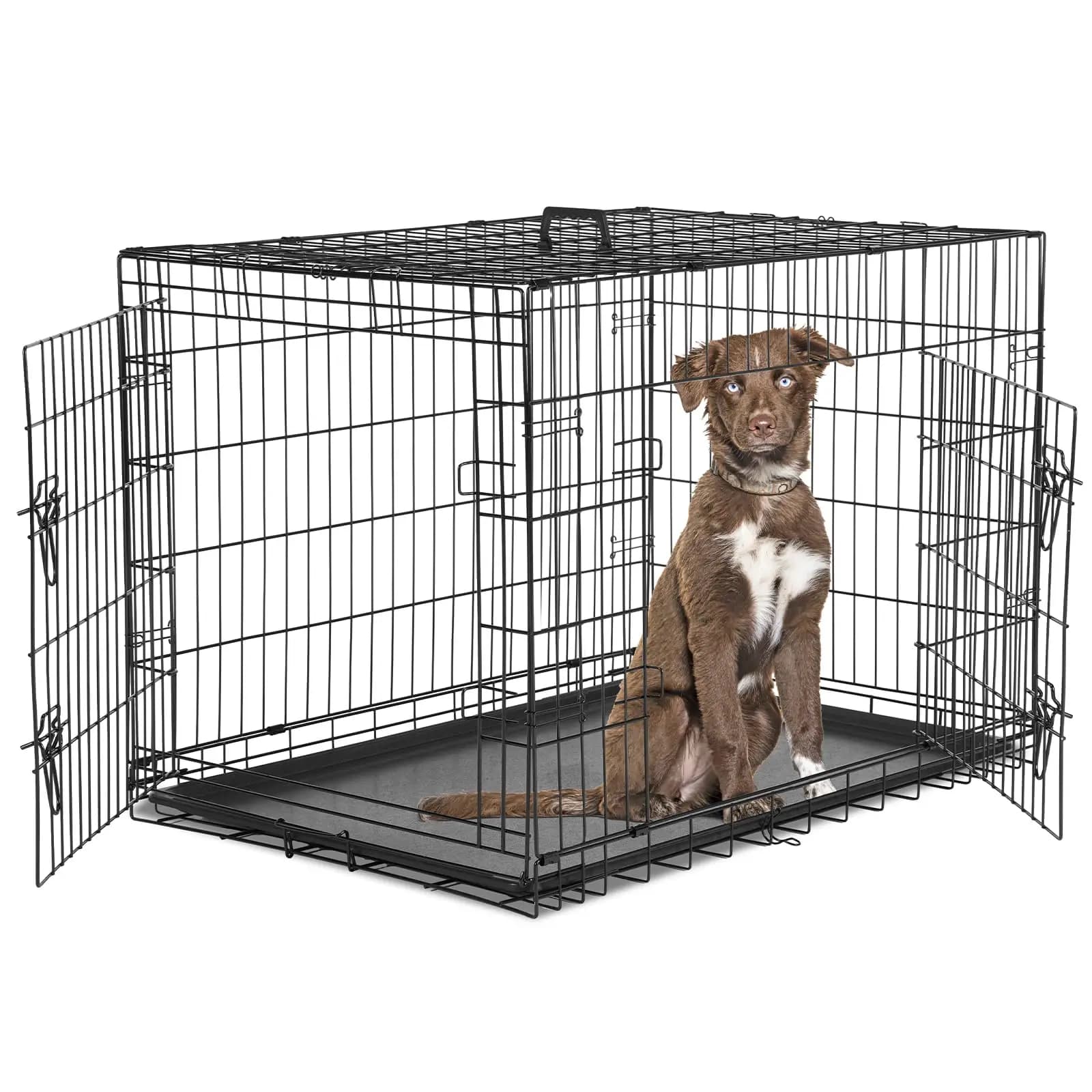 Gabbia per Cani Media 36 Pollici con Doppia Porta, Trasportabile in Metallo, con Chiusura Sicura, Vassoio Anti-Perdita, Pieghevole