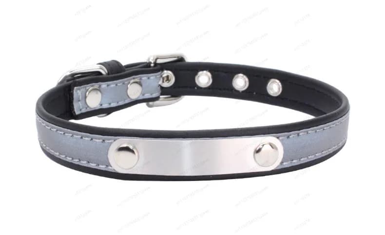 Collare per gatti Nome inciso Posizionamento Guinzaglio anti-smarrimento Lettering personalizzato per cani Circonferenza del collo Luce riflettente per cani di piccola taglia