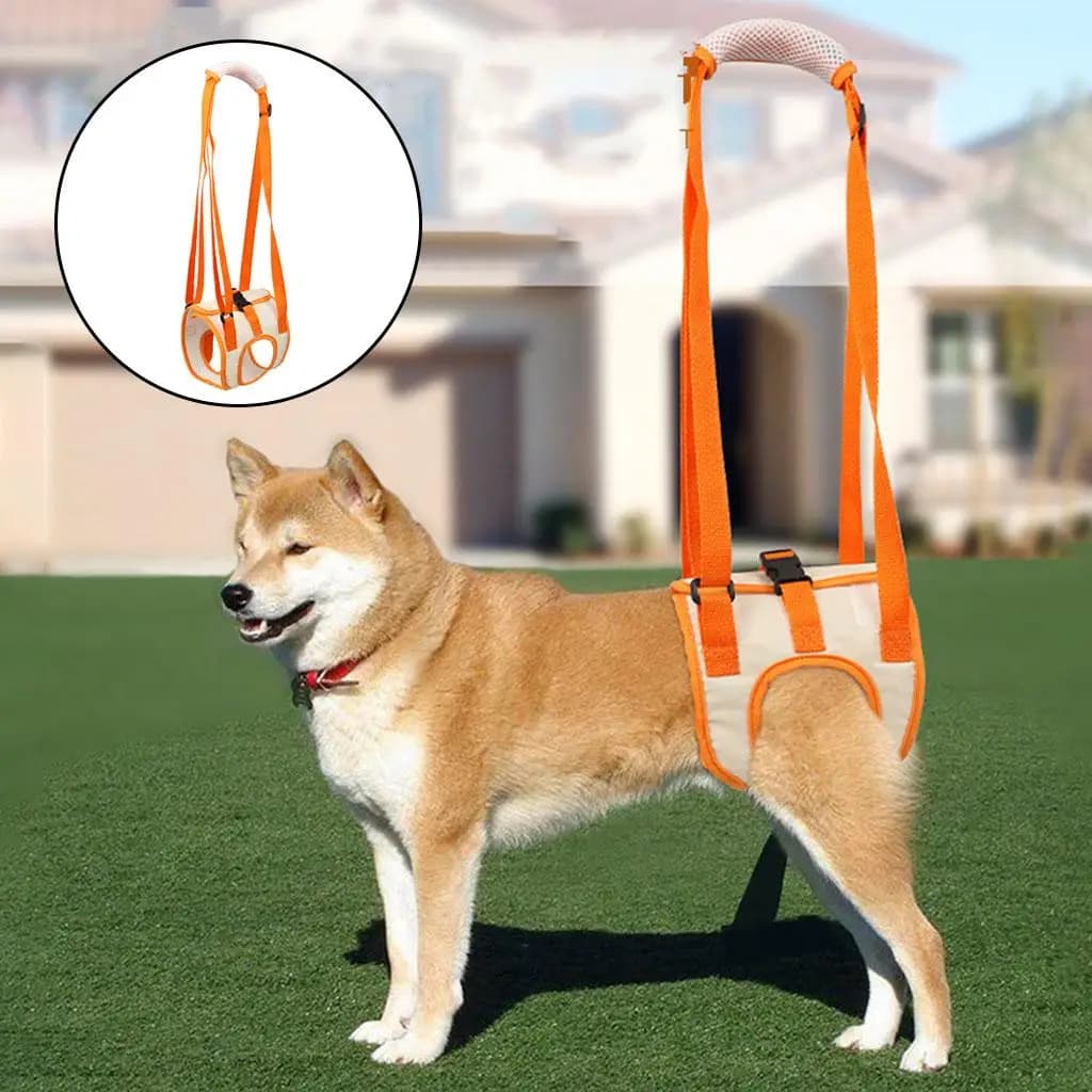 Large Dog Mobility Aids, Pet Dogs Support for Back Legs, Hip Lifting Harness to