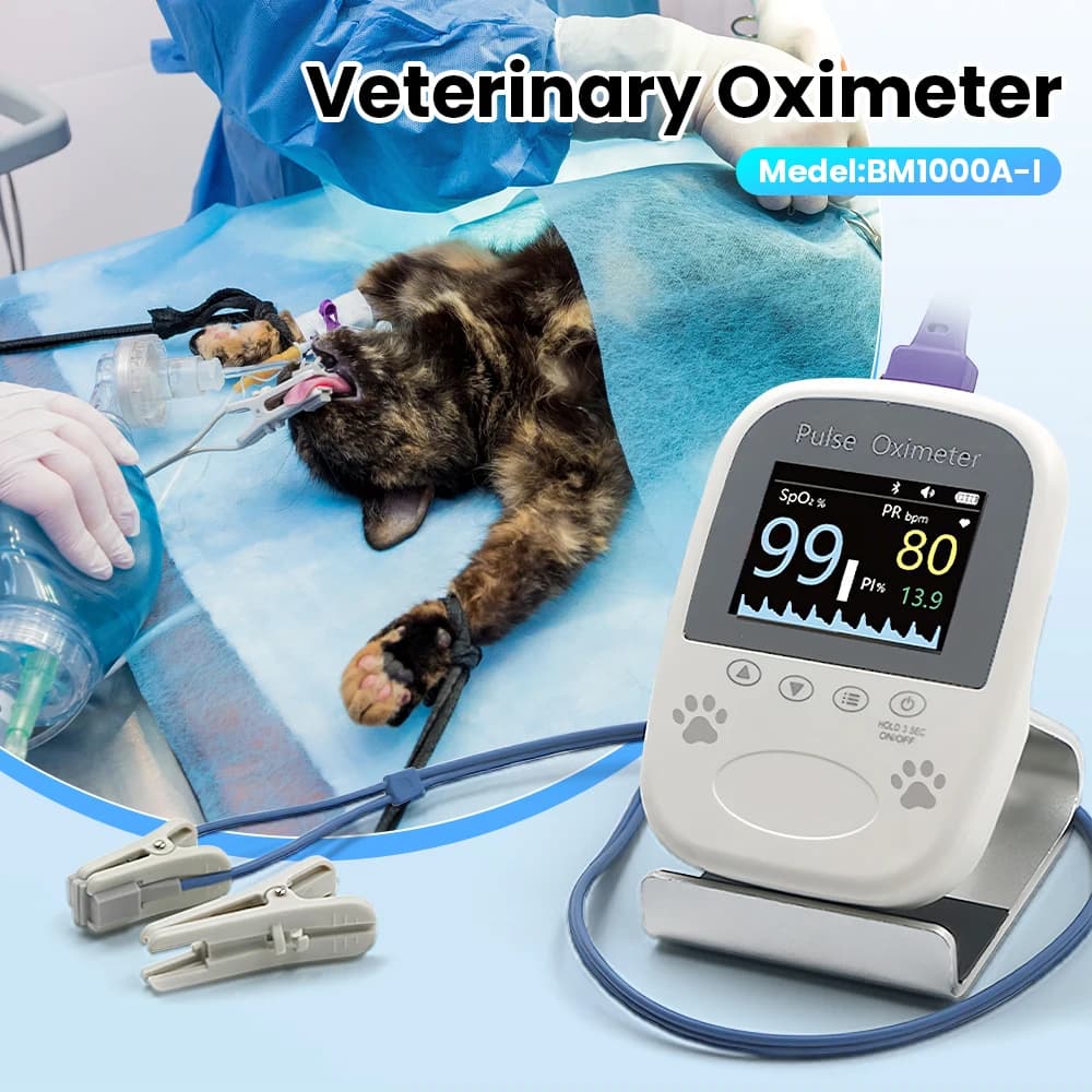 Veterinary Monitor Pulse Oxymeter for Veterinary Pet Dog Cat Pulse Oxymeter Bluetooth SPO2 Pulse Oxygen Status Monitor in Home Blood Use