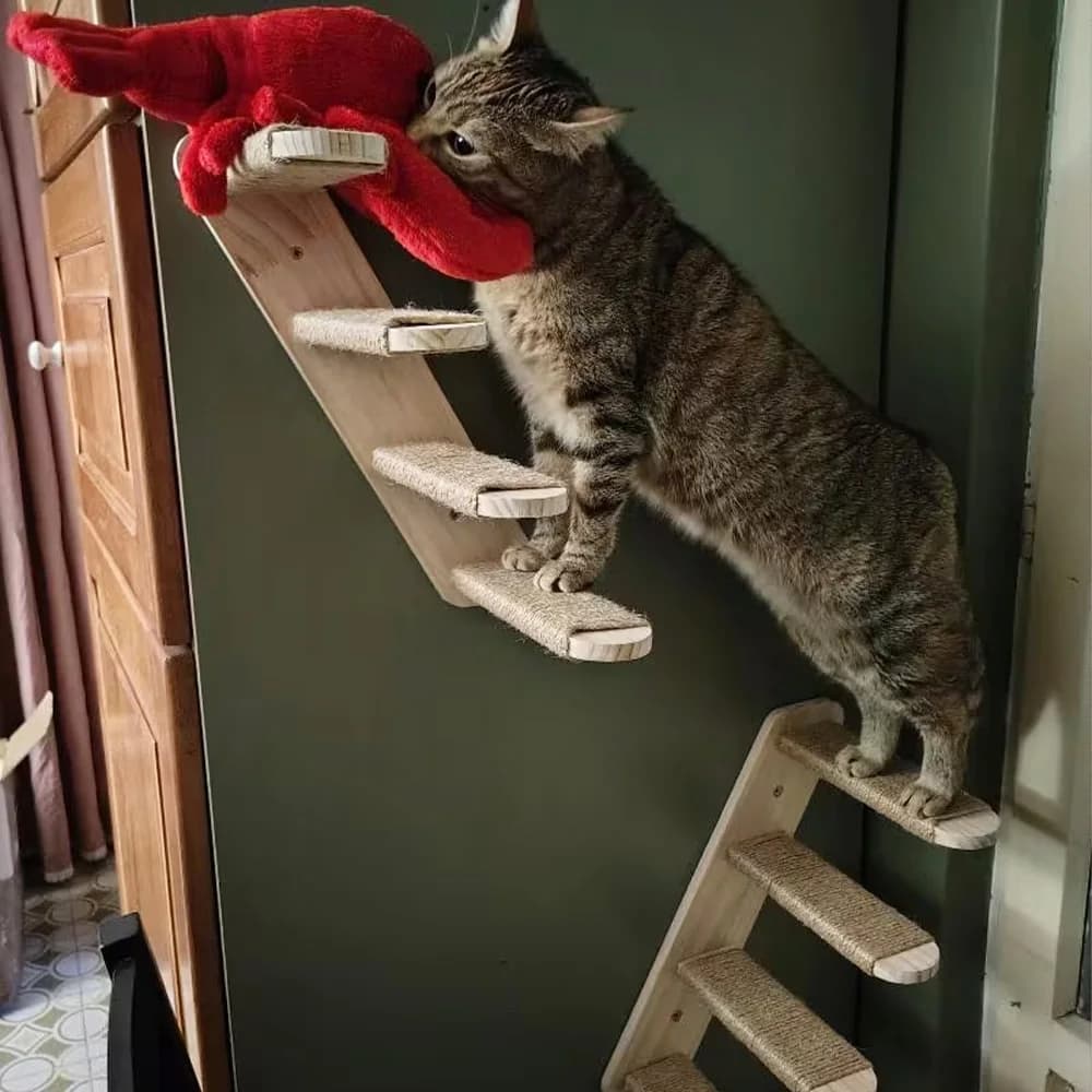 Cat Wall Hiding House Hammock Climbing Shelves Moon Perches Bed Ladder Solid Wood Steps For Activity Indoor Cats Wall Furniture