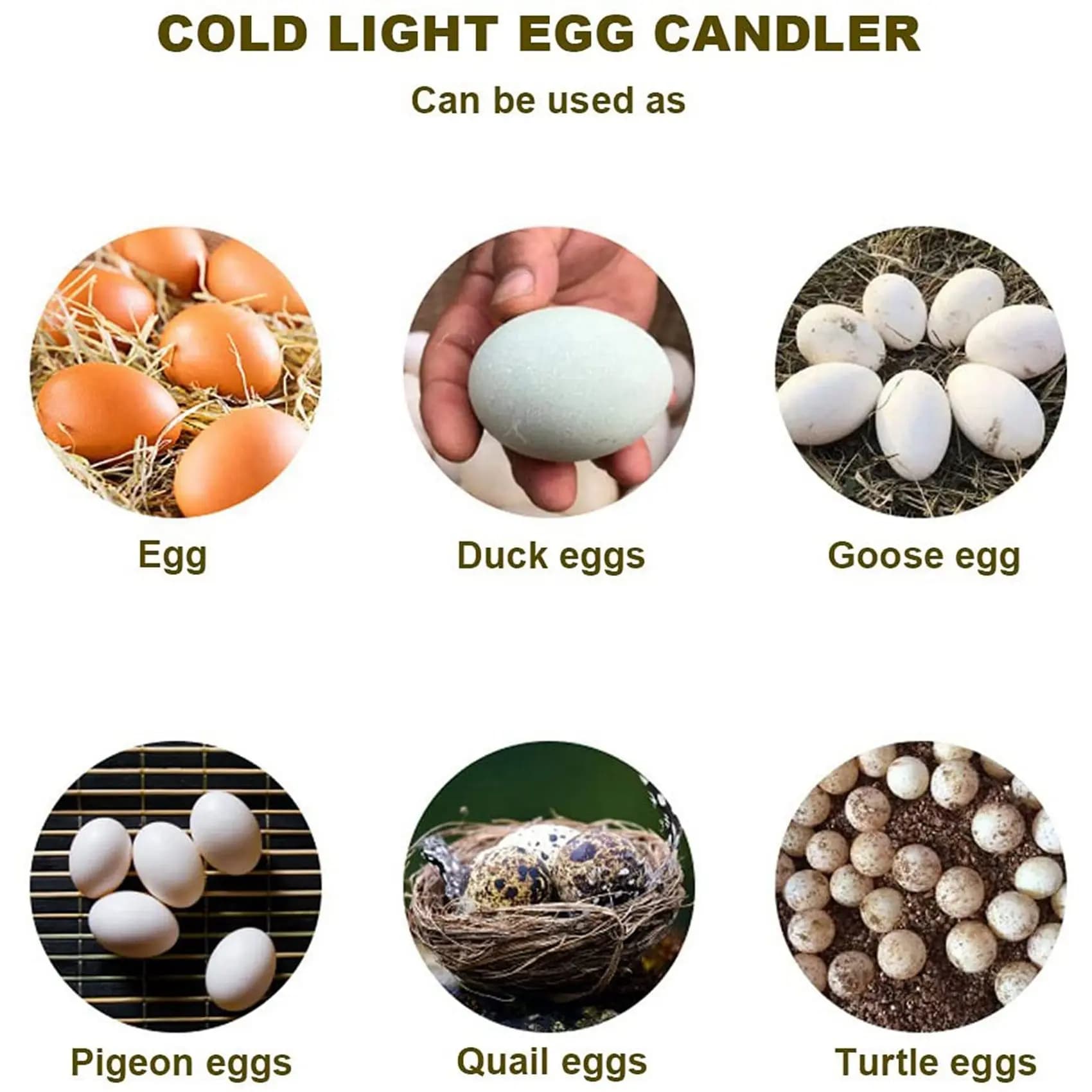 A36T-2X Egg Candler Tester Rechargeable Wireless Cool Light Incubator Candling Lamp With Two Soft Head Fit For All Eggs Type