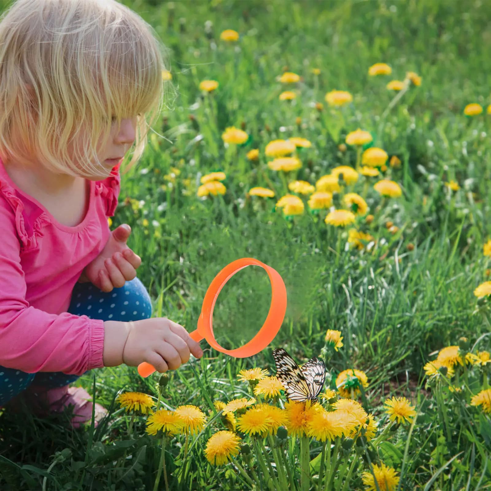 Set di 1 Contenitore Trasparente per Insetti, Kit per Catturare Insetti per Bambini, Strumento per Esplorazione all'Aperto, Kit Scientifico per Bambini