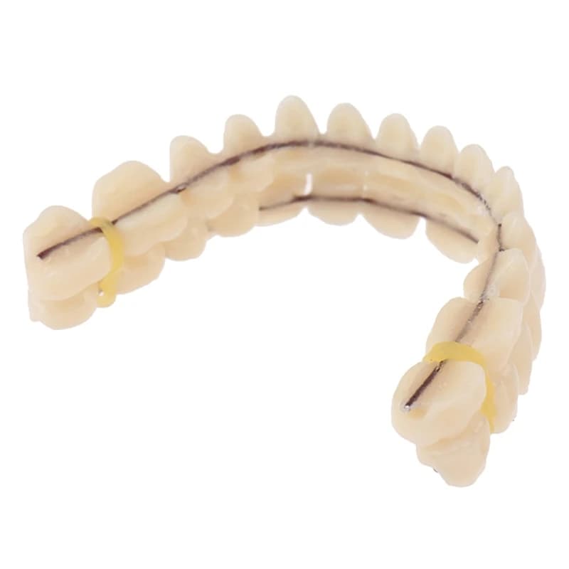 Resin teeth upper lower artificial shade preformed teething oral care material tool drop transport