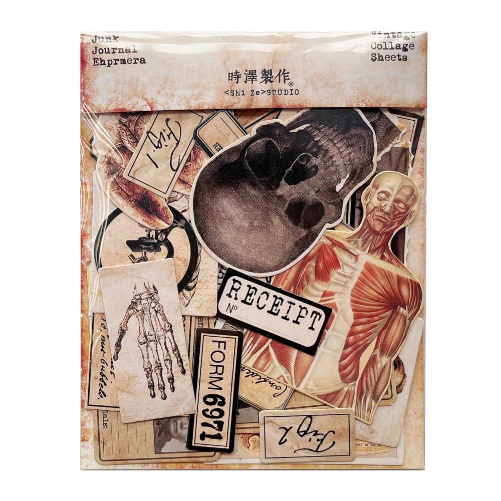 Fai da te Scrapbooking bambola vintage materiale tessuto anatomia orribile album spazzatura ufficiale felice pianificatore decorazione foto di cartoline