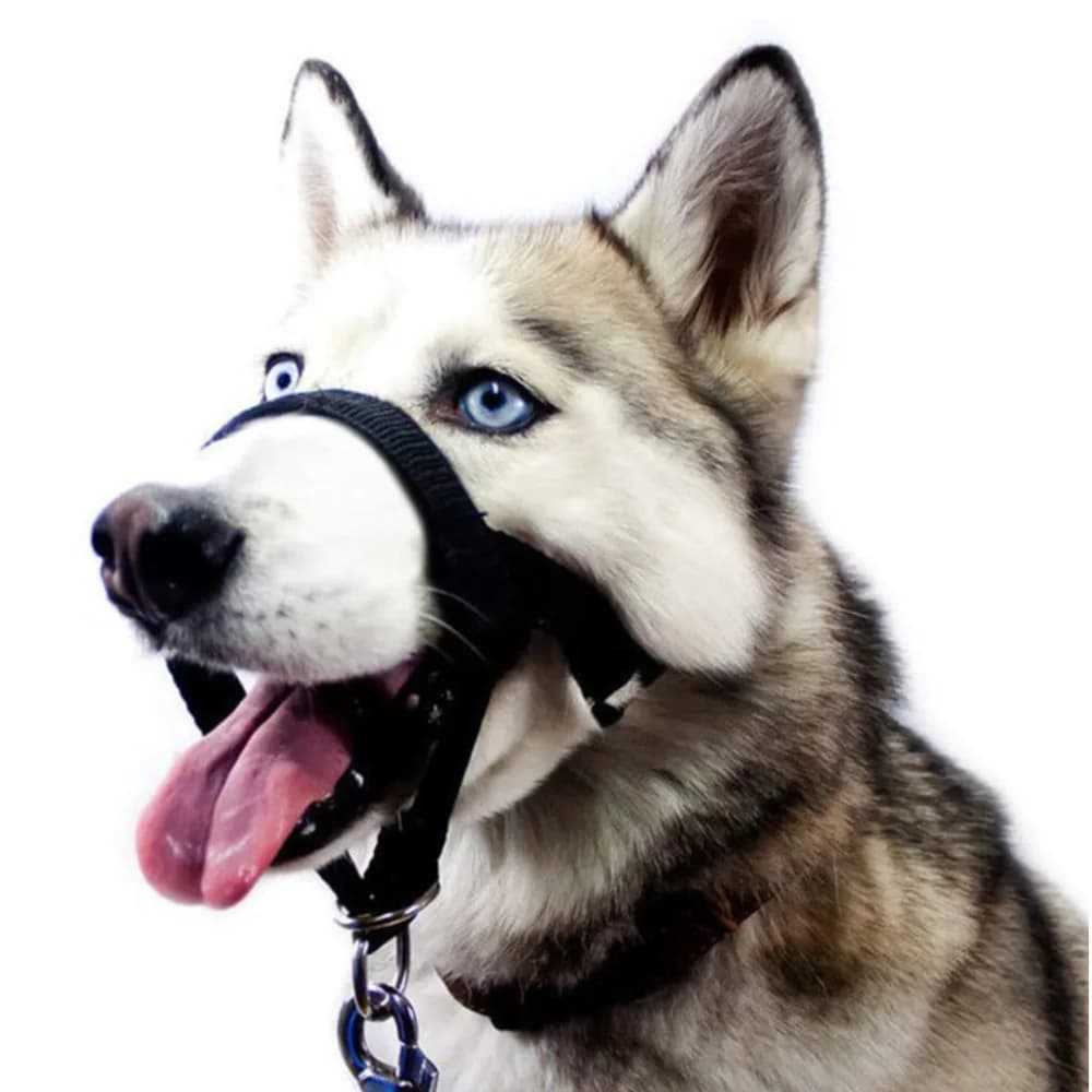 Premium Training Head Halter For Short Snout Dogs Nose Loop Lead Anti Pull Control Harness Pet Walking Equipment Accessories