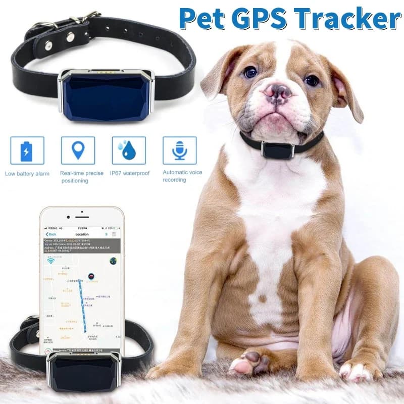 Collare per animali domestici impermeabile Wifi Mini localizzatore GPS leggero per animali domestici Localizzatore GPS per cani Localizzatore personale per bambini Dispositivo di localizzazione anti-smarrimento