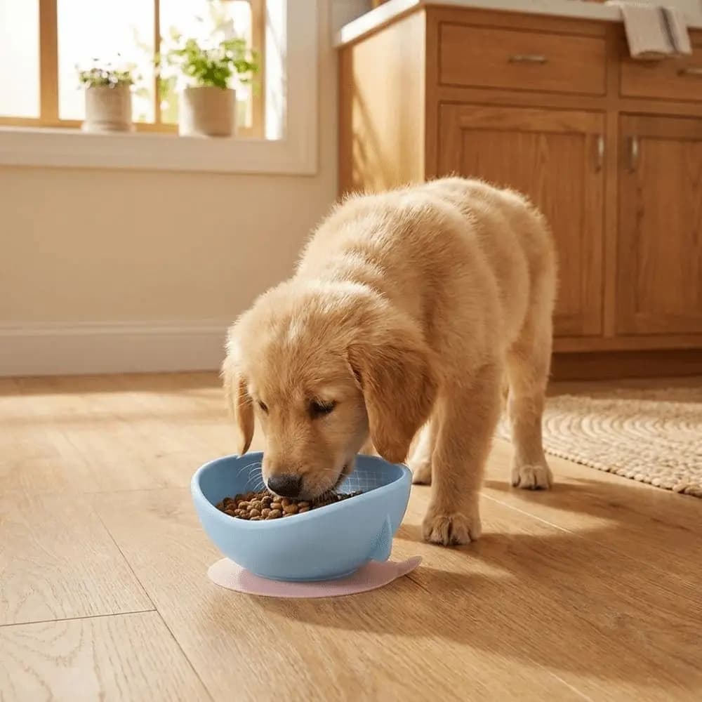 Thickened Silicone Suction Cup Pet Bowl Anti-spill Soft Cat Food Water Bowl Non-slip Stable Slow Food Bowl for Dogs
