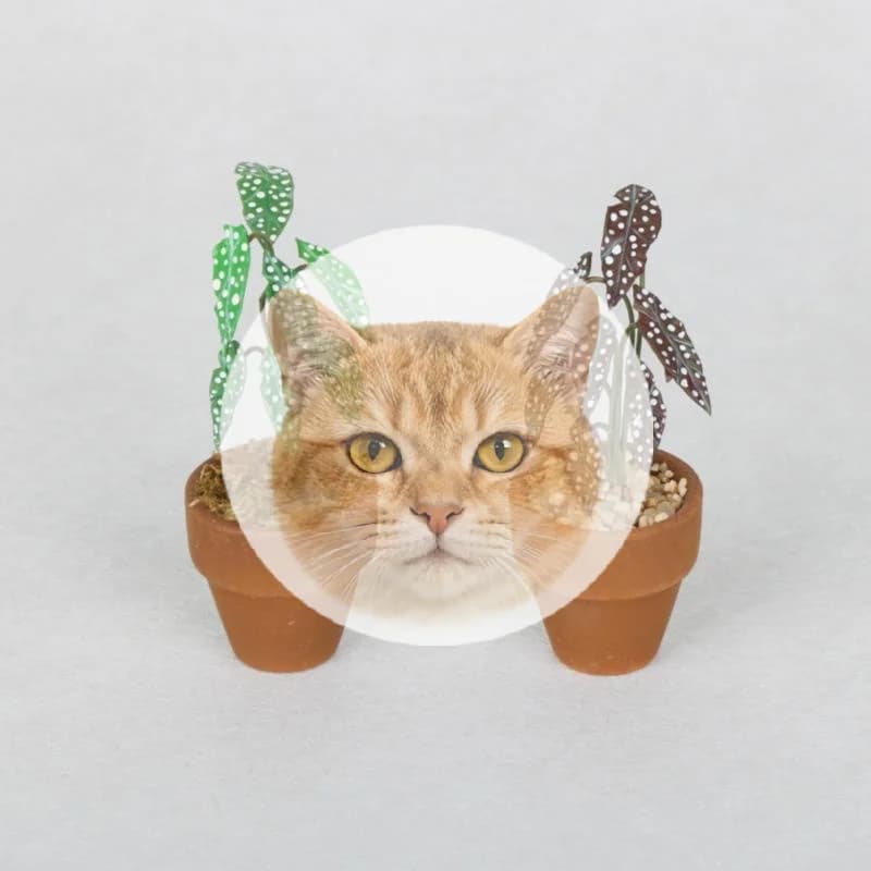 Popular 1:12 Miniature Simulation Flower Pot Green Plant Potted Model Dollhouse Home Decoration Micro Landscape Scene Ornament