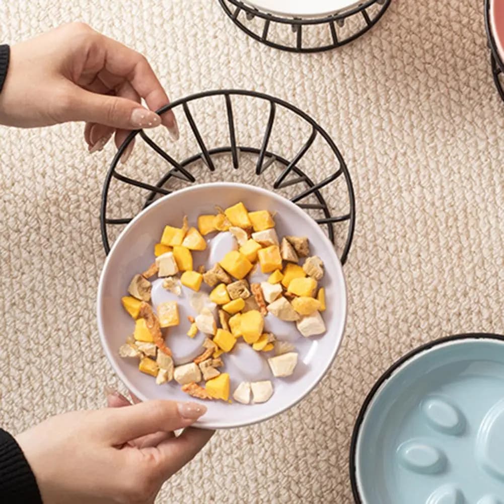Slow Feeder Dog Dish Ceramic Slow Feeder Bowl for Dogs Cats Anti-choke Pet Food Dish Durable Slow Feeding Dog Bowl to Prevent