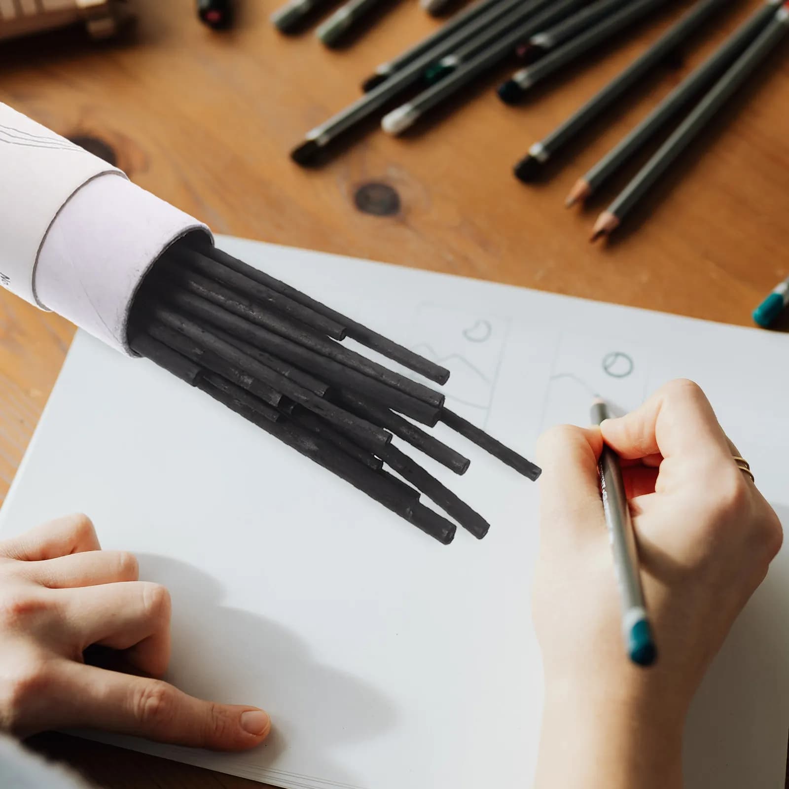 25 Pezzi di Matite a Carbone per Disegno, Forniture per Artisti e Tablet