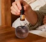 1pc Diffusore di Olio in Legno AppleStyle Lunga Durata Senza Calore per Auto/Camera da Letto/Bagno Profumo Naturale Regalo Aroma Figurina di Frutta