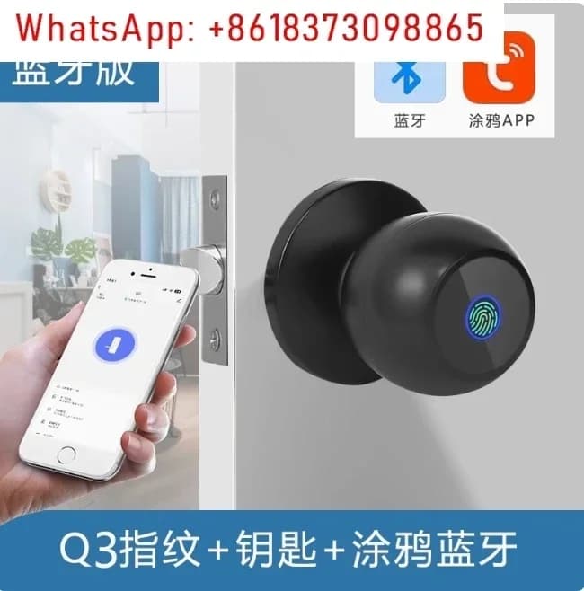 Serratura per porta con impronta digitale, 1 maniglia intelligente con APP/tastiera, ingresso senza chiave, serratura biometrica