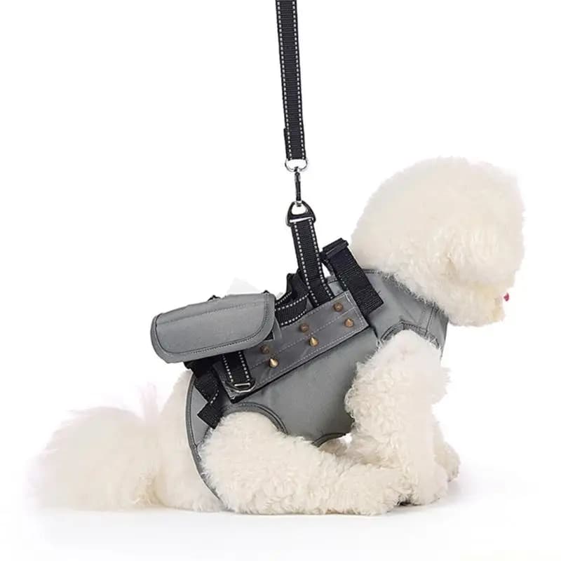 QX2E Pettorina per cani regolabile dal design ergonomico per comode razze piccole dimensioni