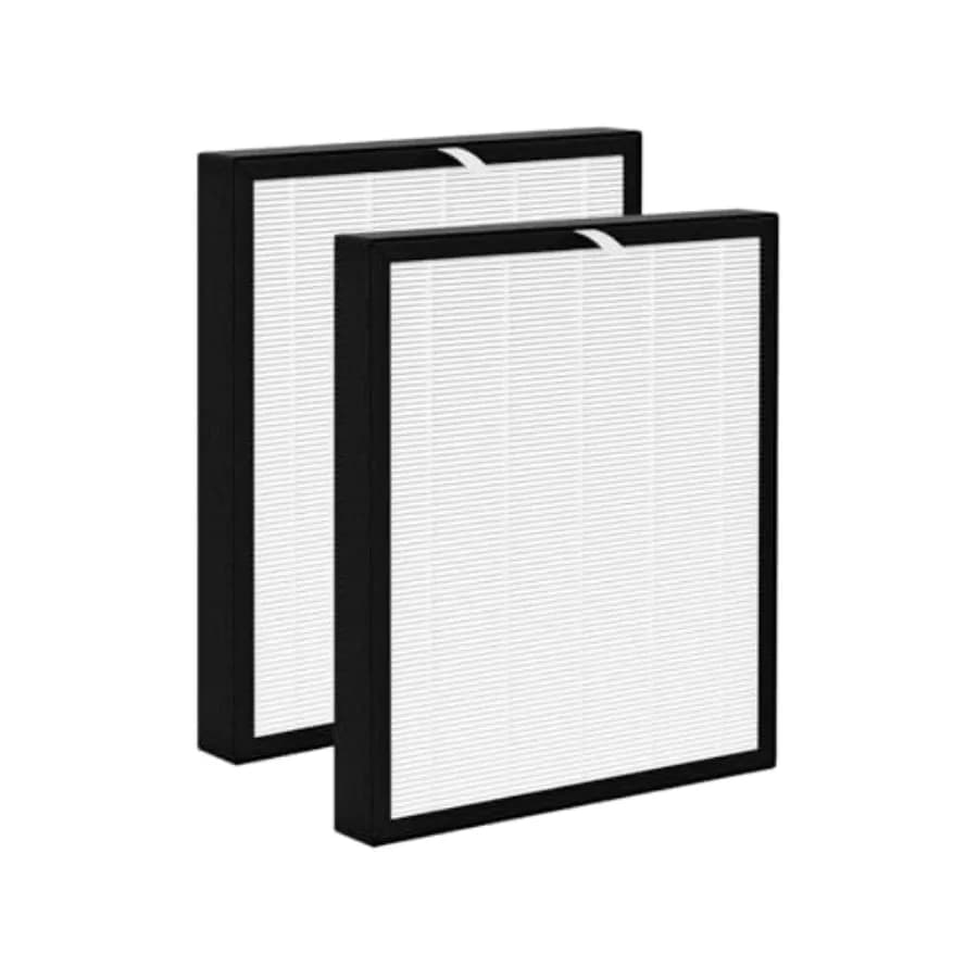 Filtro HEPA di Ricambio Compatibile con Purificatore d'Aria Surround Air Intelli-Pro XJ-3800, 2 Filtri