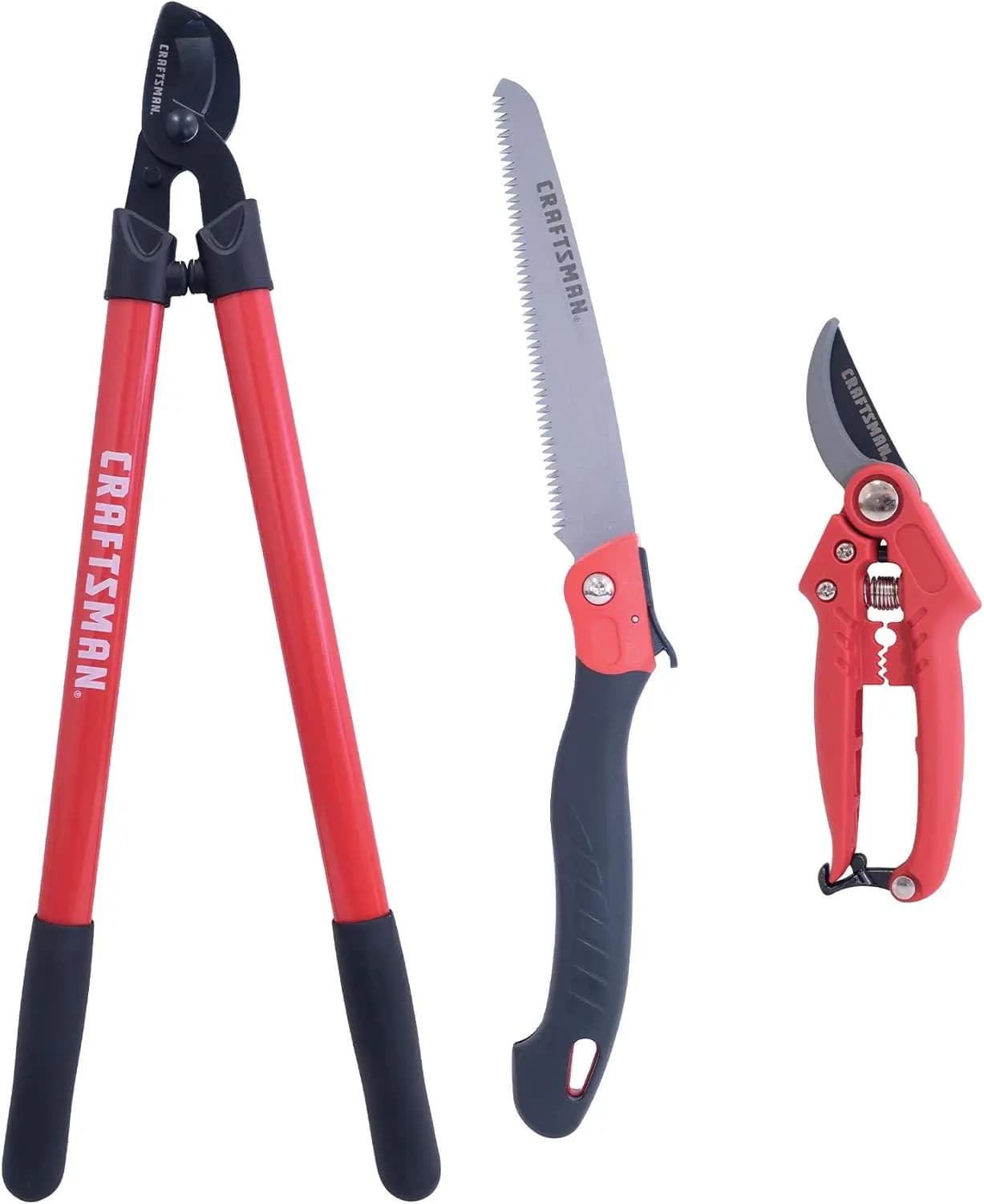 Professional Set for Trees and Shrubs with Cesoie Bypass, Troncarami and Saw Folding for Gardening