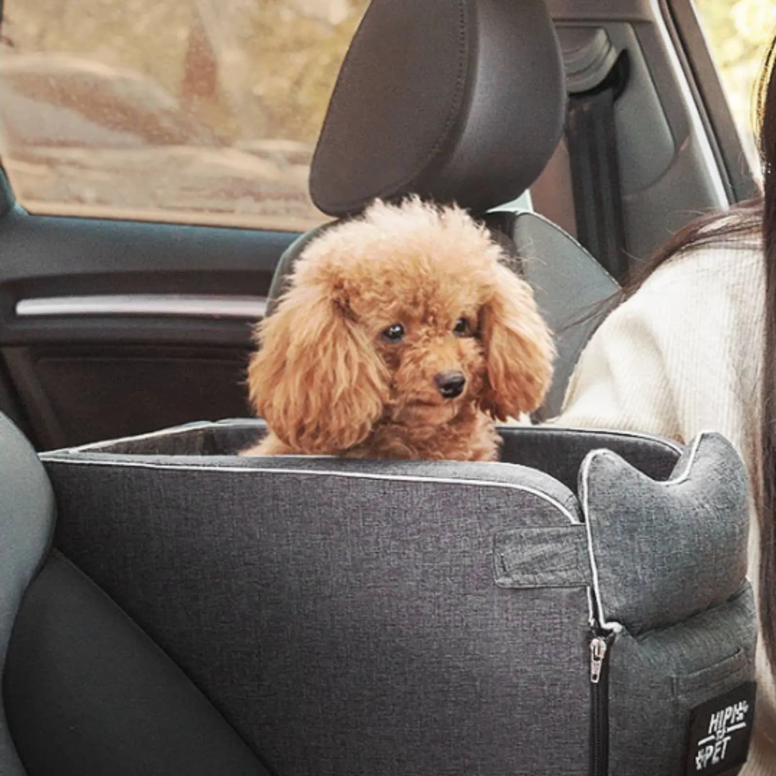 Trasportino per animali domestici portatile e leggero per viaggi