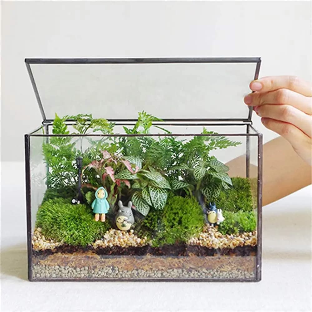 Terrario per Piante con Coperchio, Vaso Rettangolare Nero per Piante da Interno, Contenitori Geometrici Trasparenti per Muschio e Piante Succulente, Decorazione da Tavolo