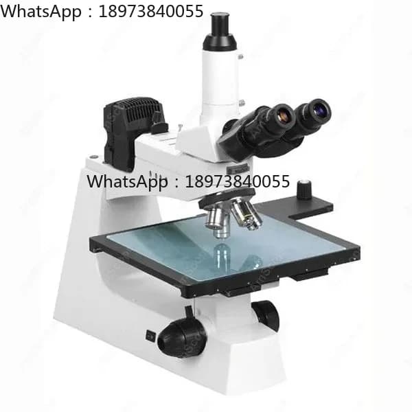 Microscopio per ispezione a palcoscenico estremo di grandi dimensioni - AmScope fornisce microscopio per ispezione a palcoscenico estremo 1600X