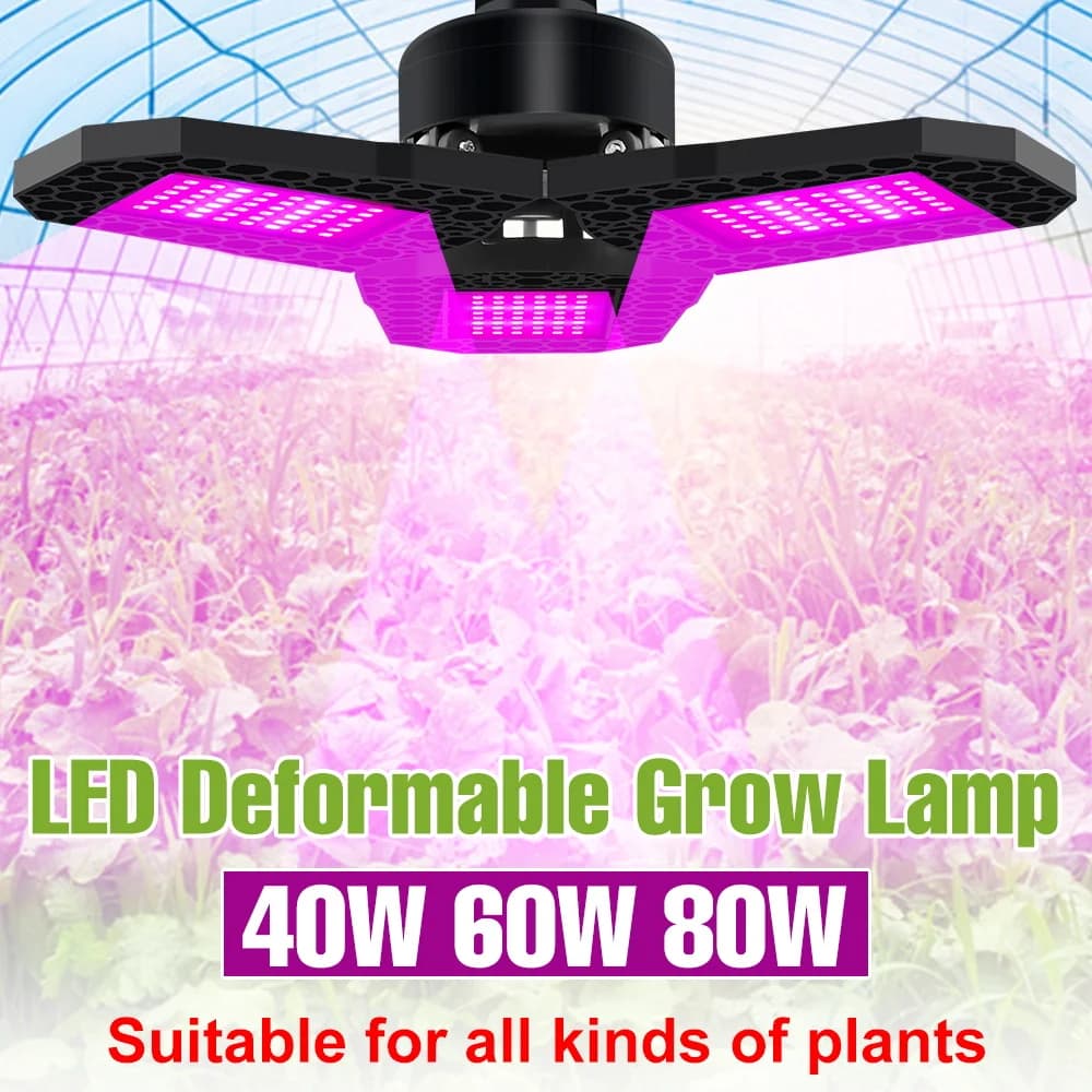 LED Lamp for Cultivation 80W, Complete Show, Attack E27, for Indoor Plants, Flowers, Seeds, Serra, Tent, Fruit and Vegetable