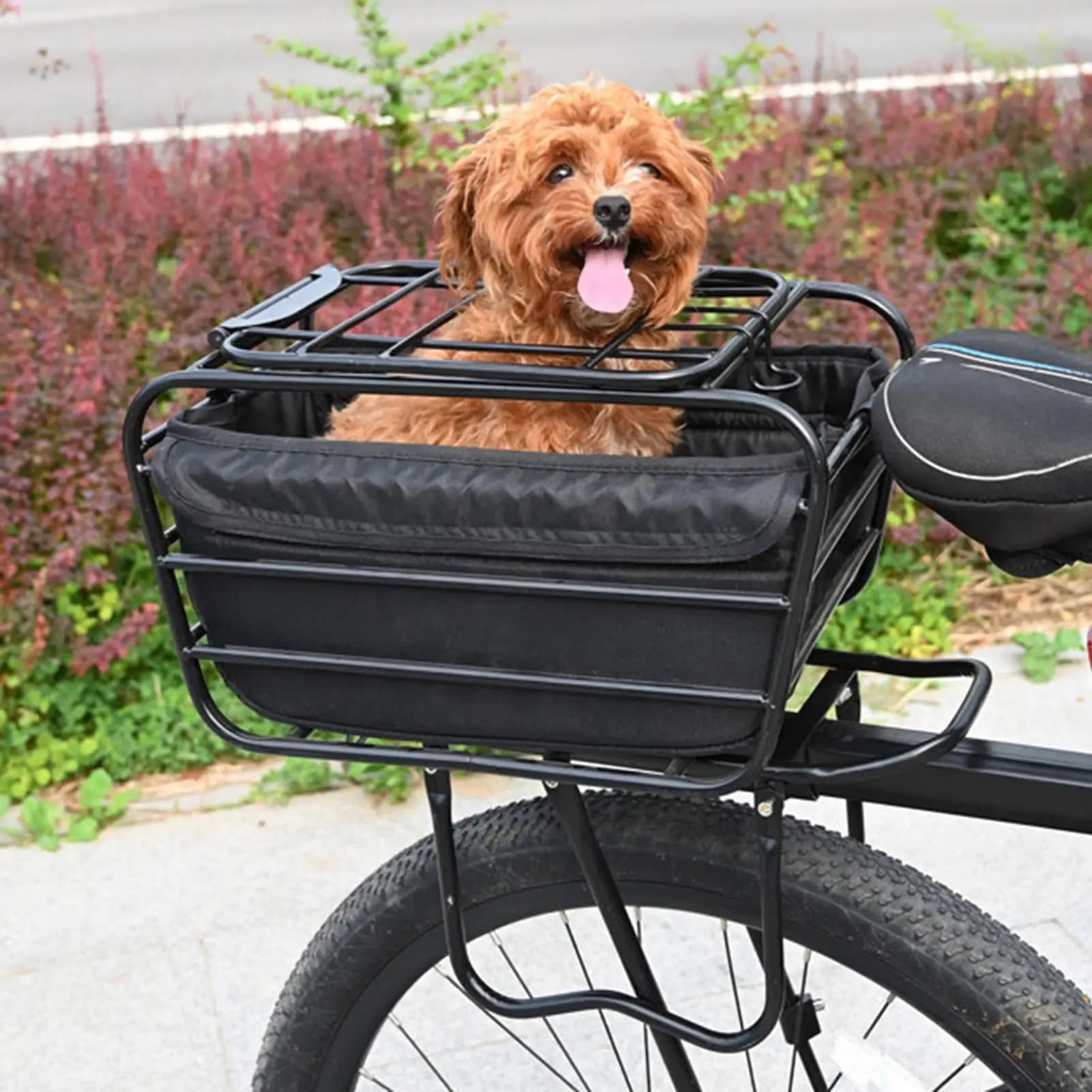 Bike Basket | Carbon Steel Heavy Duty Enclosed | Bike Pet Carrier Cargo Basket | for All-Weather Road Cycling City Riding