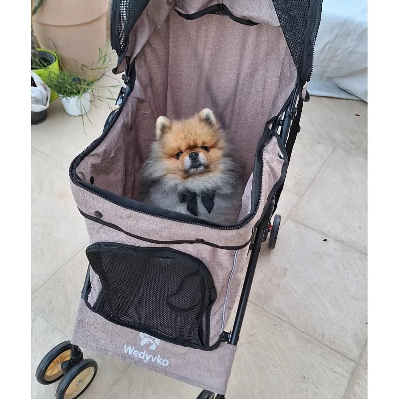 Passeggino Portatile per Gatti - Design Nero Elegante, Leggero 4 kg, Trasporto con Una Mano e Apertura/Chiusura con Un Tocco (Montaggio in 3 Secondi), Pieghevole a 11,81 Pollici