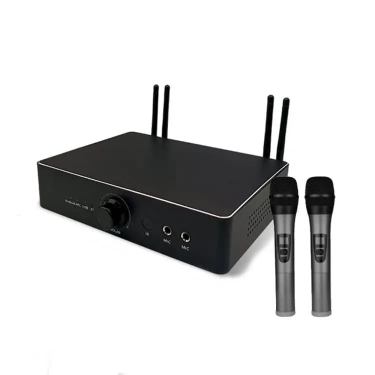 Sistema Karaoke Professionale KTV con Amplificatori e Altoparlanti ad Alta Potenza, Set Completo