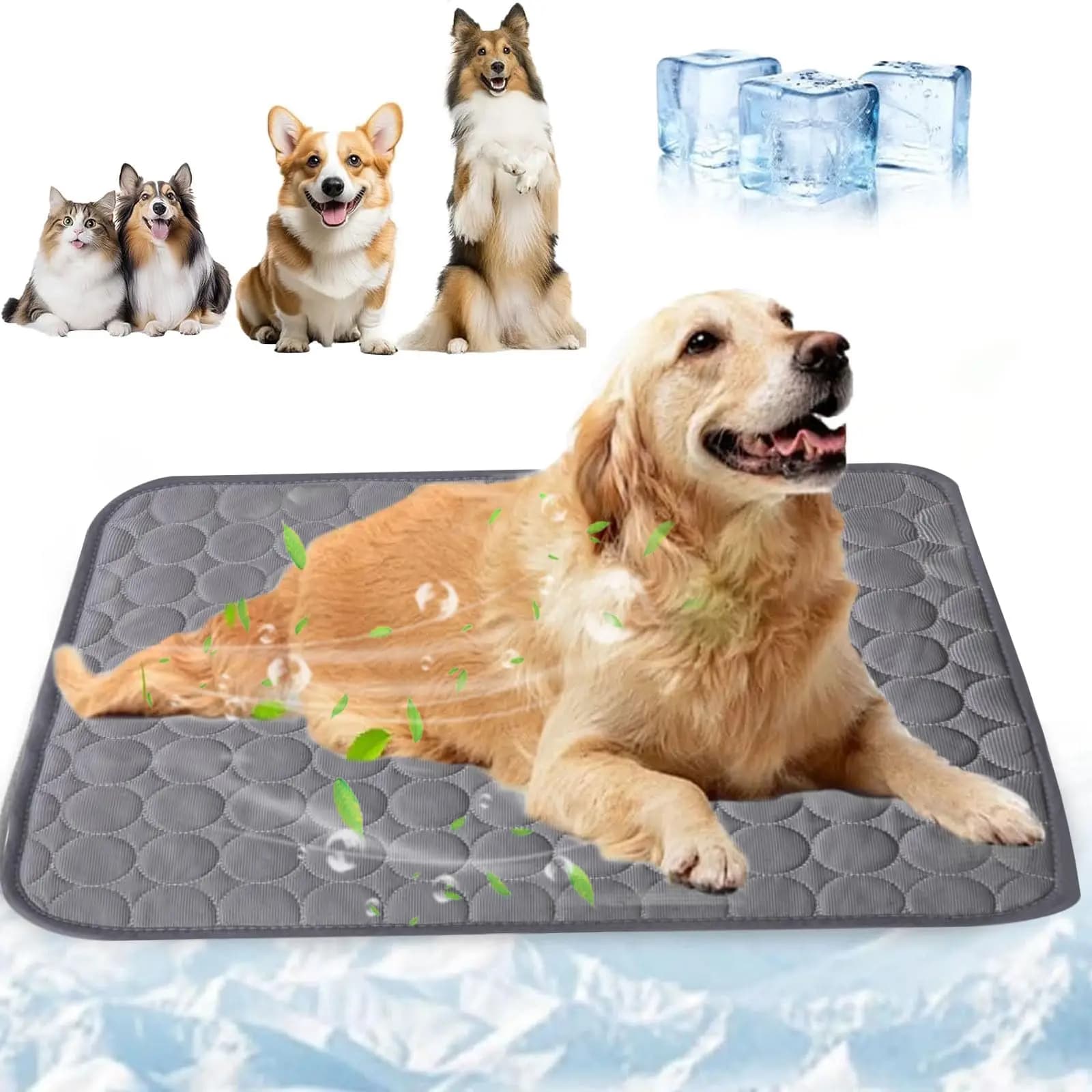Leak Proof Dog Pee Pad Reusable Washable Puppy Training Blanket Absorbent Pet Bed Urine Mat for Car Seat Cover Pet Supplies