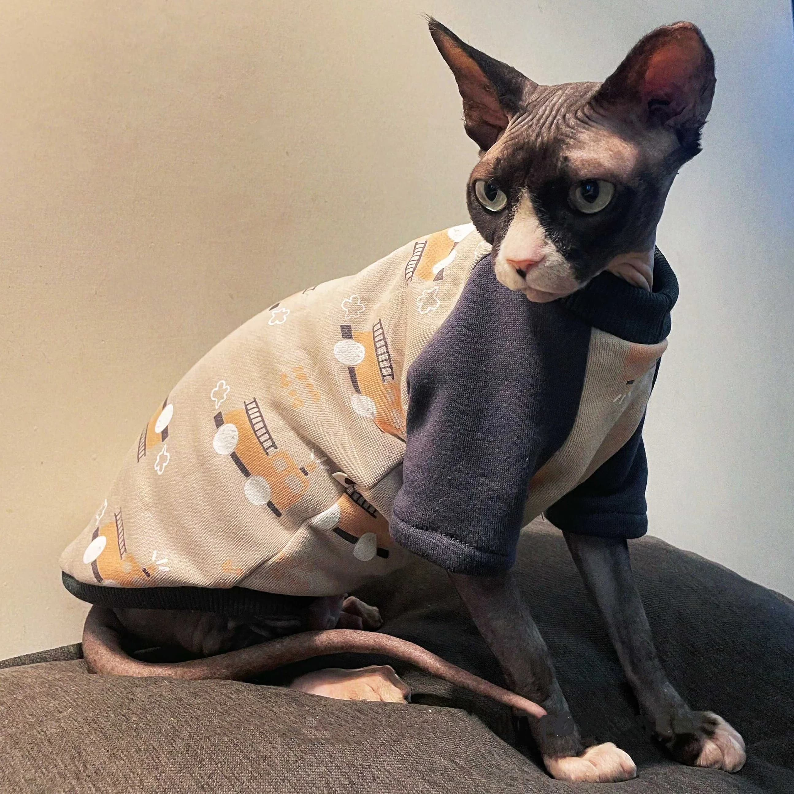 Felpa invernale a maniche lunghe per Sphynx Cat Grey Cartoon Cars Cappotto in pile per gattini in pigiama caldo autunnale per Devon Rex