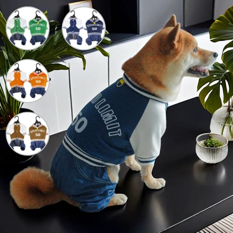 Maglione per Cani Primavera Autunno, Modello Sottile a Quattro Zampe Connesse, Imbracatura per Cani di Piccola e Media Taglia e Gatti, Abbigliamento Casual per Animali Domestici da Esterno