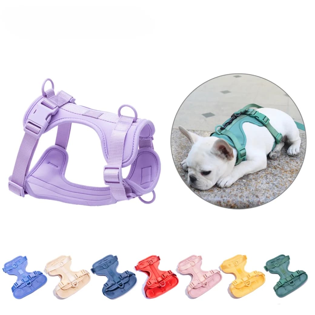 Breathable Lightweight Dog Harness Adjustable Pet Chest Strap Outdoor Walk Training Pet Harenss for Small Medium Dog