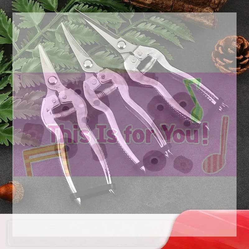 diMA diStainless steel pruning scissors, precision sharp blades, anti-slip handles, sharp and resistant, for pruning branches and fruit in the garden