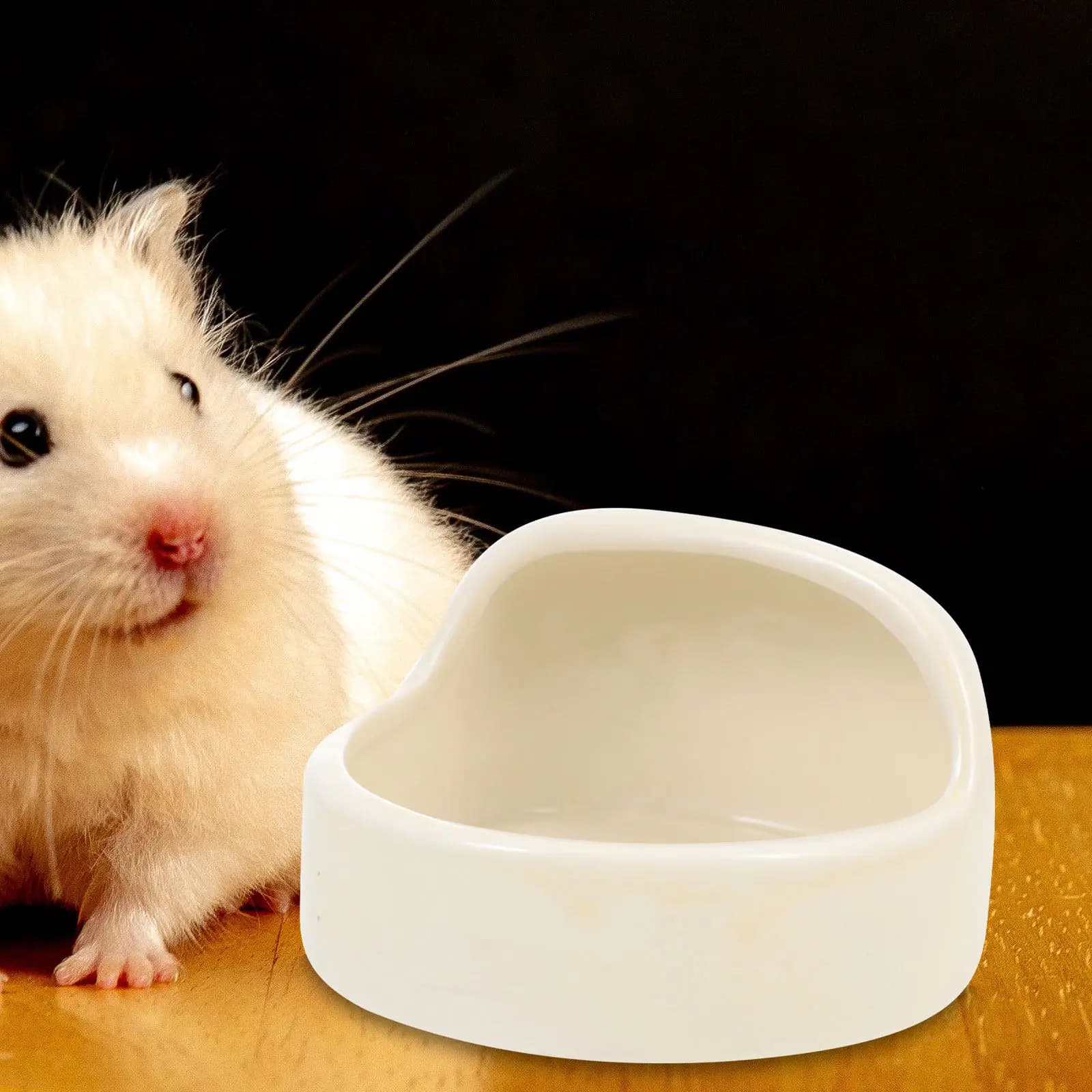 Ciotola in Ceramica Anti-Ribaltamento per Cibo da Criceto, Mangiatoia Durevole per Piccoli Animali, Contenitore per Cibo per Coniglio e Porcellino d'India, Accessorio per Animali Domestici, Ciotola per Porcellino d'India