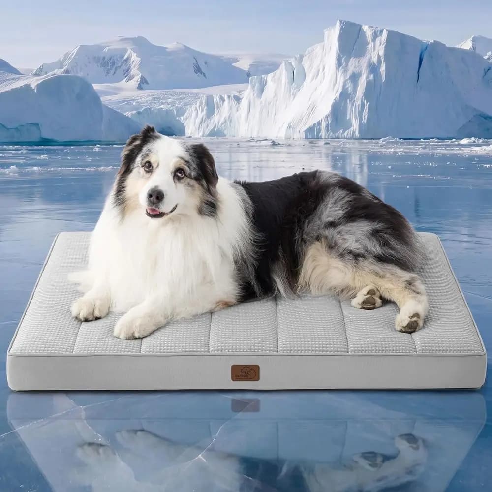 Cuccia rinfrescante extra large per cani - Letto estivo traspirante 41x29 con rivestimento rimovibile per animali fino a 40 kg