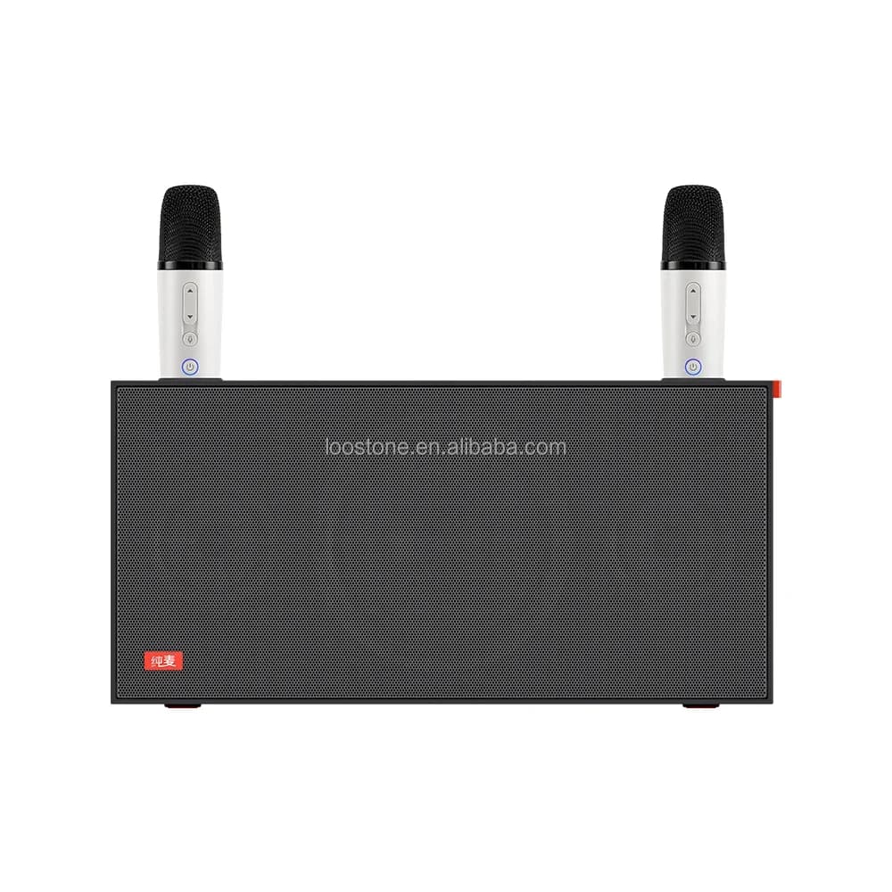 Nuovo altoparlante per karaoke con altoparlante per macchina per karaoke per feste, set per karaoke all-in-one