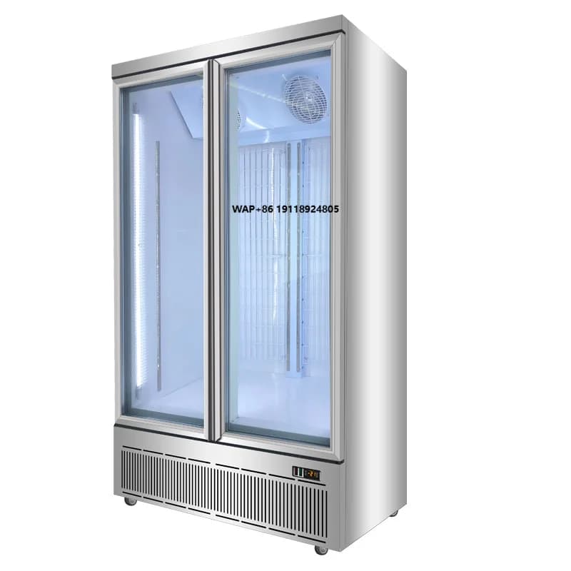 Vetrina Refrigerata Commerciale a 2 Porte con Raffreddamento ad Aria -22°C, Sbrinamento Automatico, Display in Vetro, Controllo Elettronico Digitale