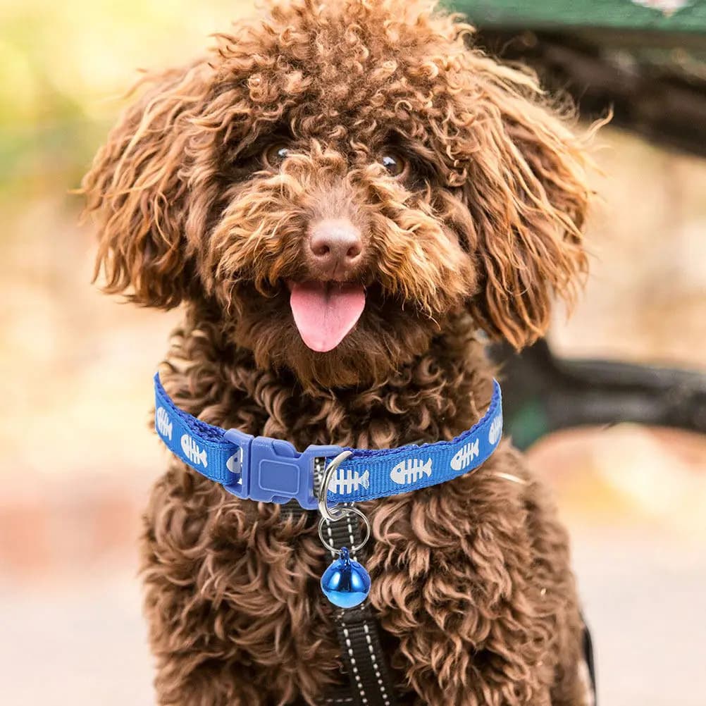 Set di 6 collari per animali domestici, design con motivi adorabili, collari regolabili per cani e gatti, leggeri e resistenti all'usura, per passeggiate all'aperto e vacanze