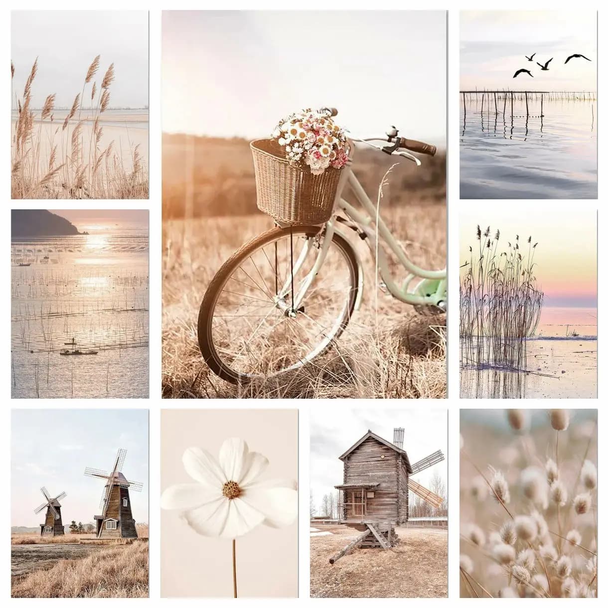 Paesaggio beige parete 5D pittura diamante fai da te bici mongolfiera immagini orchidea dente di leone stampe nordiche camera da letto decorazioni per la casa