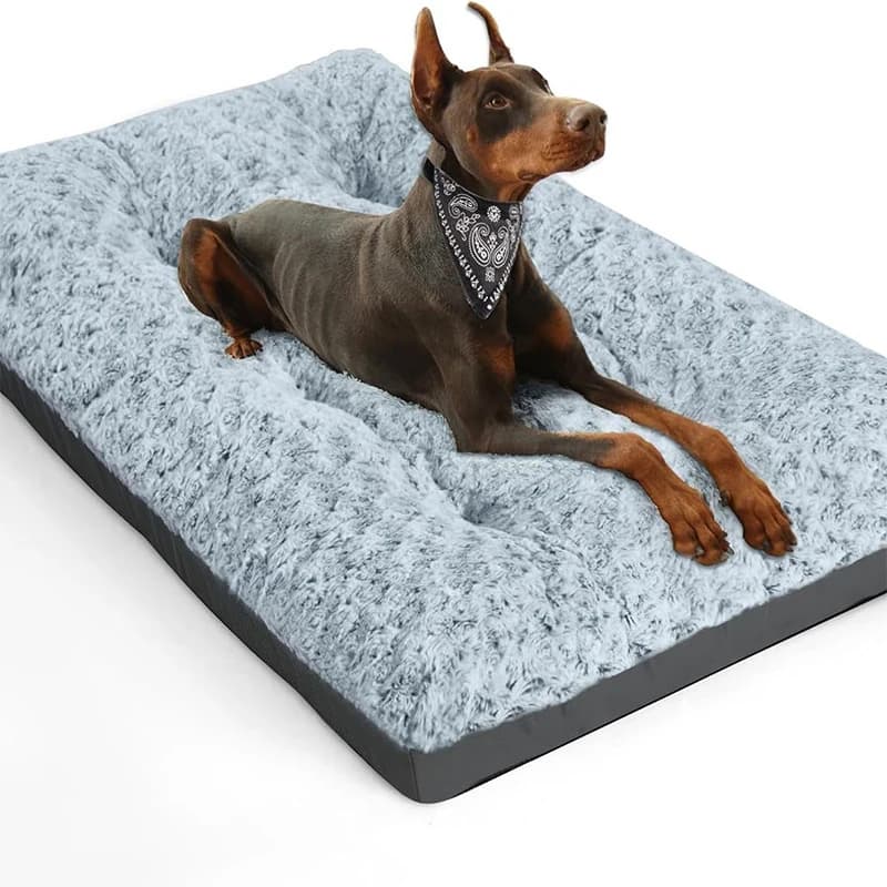Soffice letto per cani Cestini per cani Cuccia media piccola Accessori per animali domestici Letti grandi Gatti Forniture per animali Prodotti Grande divano Zerbino Razze Cuccioli