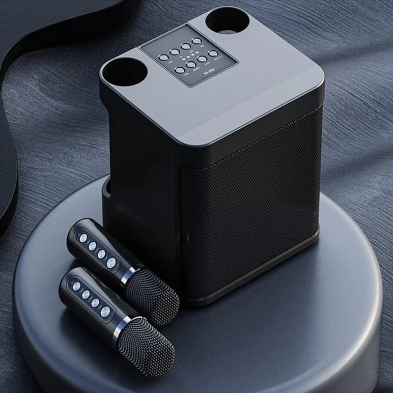ABSE-Family Set audio KTV Doppio microfono wireless Macchina integrata Sostituzione scatola altoparlante Bluetooth per karaoke portatile esterno