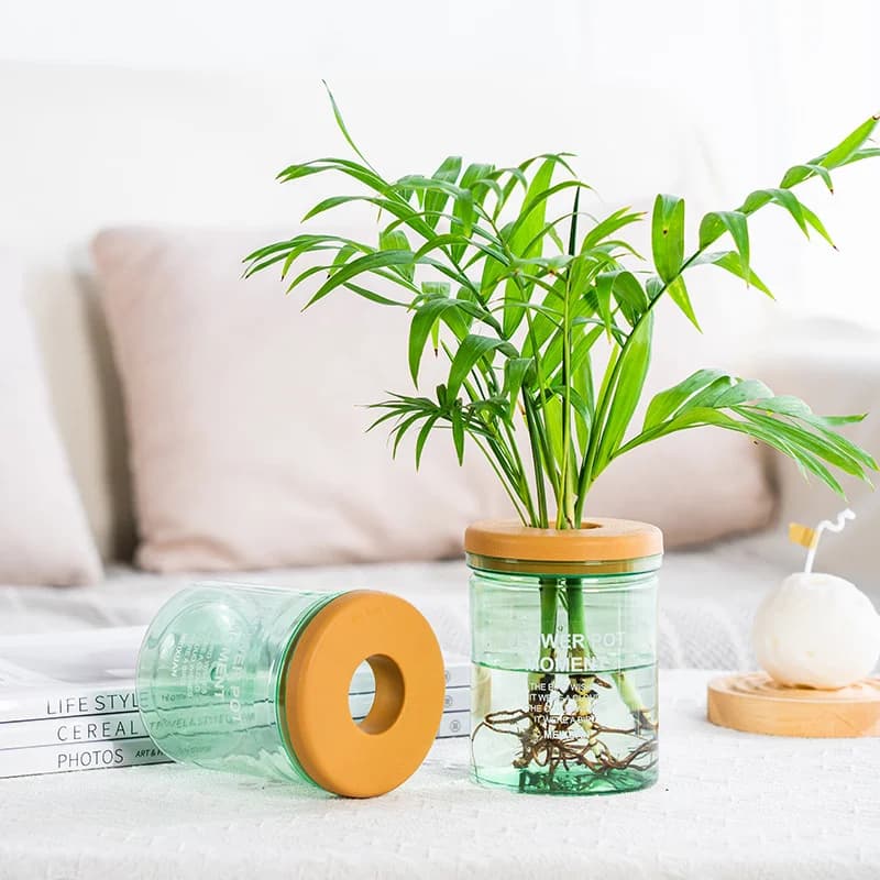 Vaso per piante d'acqua Vasi idroponiche trasparenti in plastica per piante Vaso da fiori Vasi per fioriera da giardinaggio senza suolo Decorazioni per la casa