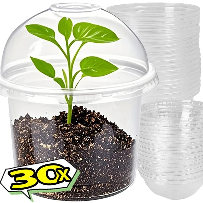 Transparent Vases for Semina with Covers, Breathable Containers for Flowers and Plants, Nutritional Cups for Gardening