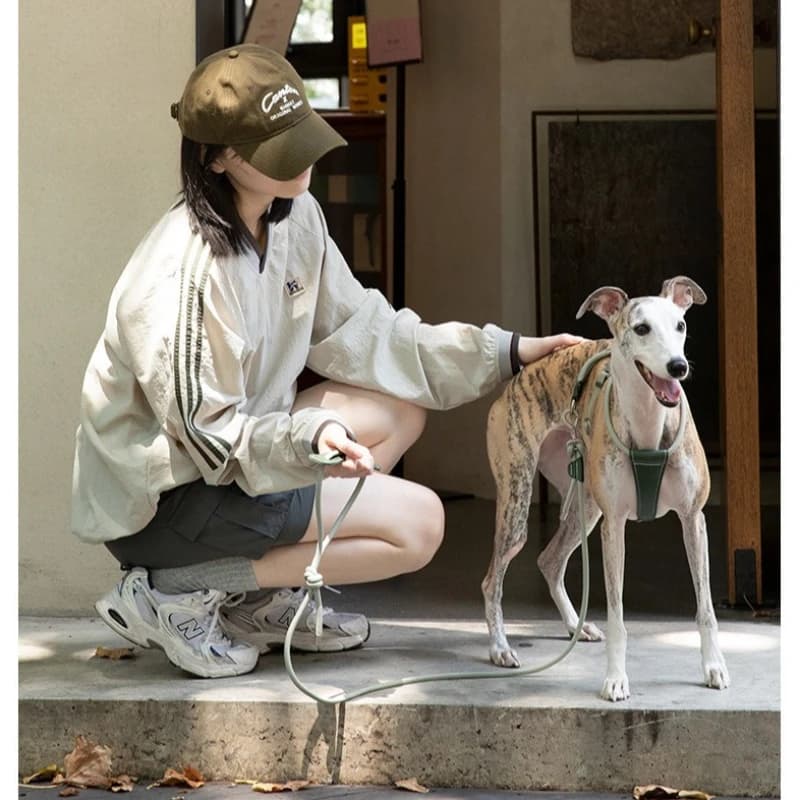 Pettorina per Cani in Pelle con Corda Rotonda, Regolabile e Anti-Fuga per Cani Piccoli e Medi, Leggera con Fibbia in Metallo