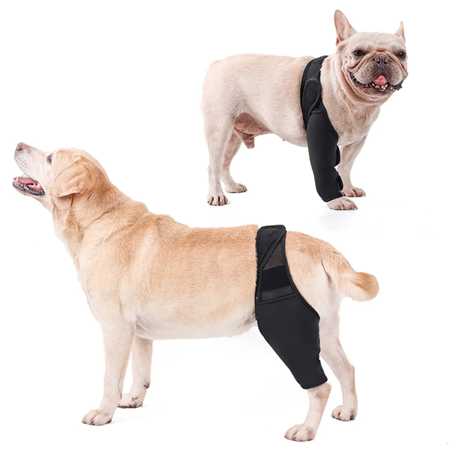 Supporto per Ginocchio Canino, Fascia Regolabile per Articolazione Posteriore e ACL per Cani